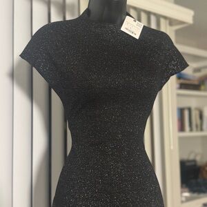 Zara Black Sparkly Bodycon Mini Dress – NWT ✨